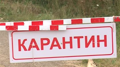 В селе Топар Карагандинской области сняли карантин по сибирской язве 