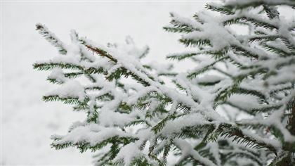 Пятого января в Казахстане по-прежнему сохранится неустойчивый характер погоды
