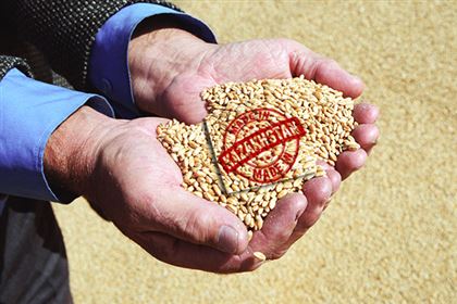 Минсельхоз готов монополизировать экспорт зерна