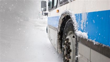 В Алтае замерзли автобусы