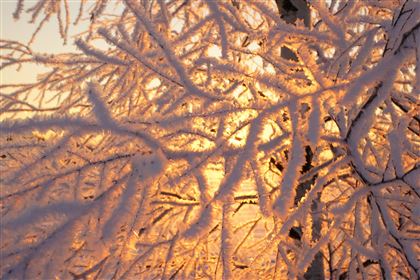 20 февраля на большей части Казахстана ожидается морозная погода без осадков