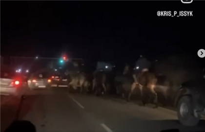 В Алматинской области всадники устроили кокпар прямо на дороге