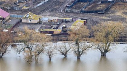 Уровень воды в реке Жайык продолжает расти