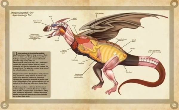 Труды по анатомии дракона вдохновил многих художников на создание фолиантов, с анатомией других вымышленных существ.Рисунки обычно стилизуются под средневековые гравюры по биологии