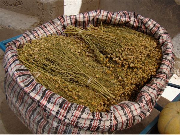 На рынках Казахстана пучок адыраспана стоит от 200 до 1000 тенге, в зависимости от региона