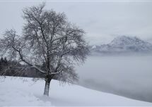  27 февраля в Казахстане ожидаются туман и метели