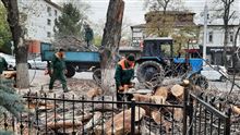 Адская сковородка: Алматы массово теряет зелёные насаждения