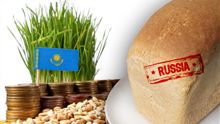 В Казахстане гордятся своей пшеницей и едят "контрабандный" хлеб из России