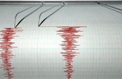 На востоке Казахстана произошло землетрясение