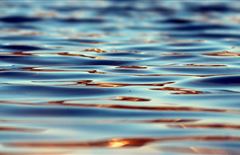 Уровень воды в Жайыке достиг критической отметки