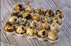 Партию перепелиных яиц из Китая пытались незаконно ввезти в Казахстан
