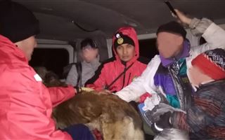 Дети и двое мужчин чуть не погибли от переохлаждения в горах Алматы