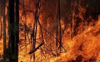 Пожар на юге Австралии охватил территорию свыше 300 тысяч гектаров