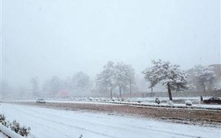 В Пакистане не менее 14 человек погибли из-за ливней и снегопадов