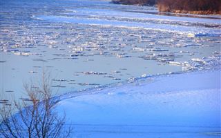 Уровень воды в реках Иртыш и Сырдарья пошел на понижение - КЧС