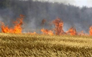 В Венесуэле из-за пожара на плантации погибли 12 человек