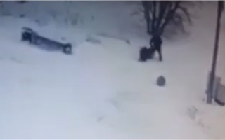 В казнете распространяется видео нападения на девушку в Темиртау