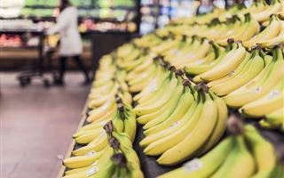 Из России в Казахстан не пустили 81 тонну бананов