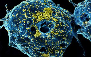 Число летальных исходов от коронавируса в Китае возросло до 106 человек