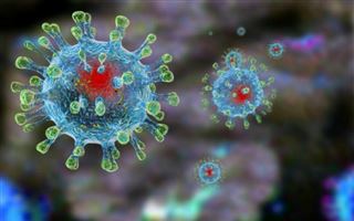 Первый случай заболевания коронавирусом зарегистрирован в ОАЭ