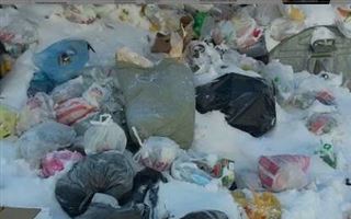 Не только снег: жители Нур-Султана массово жалуются на горы мусора