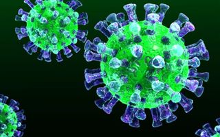Информационный фон вокруг уханьского вируса - крупнейшее реалити-шоу мира