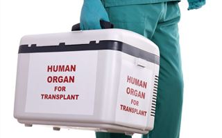 Тайны трупной трансплантации: станет ли случайно погибший на трассе человек донором органов