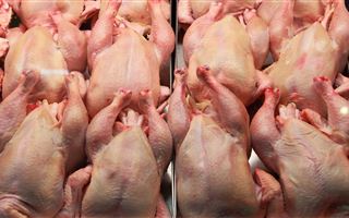 Казахстан ограничил ввоз мяса птицы из Украины