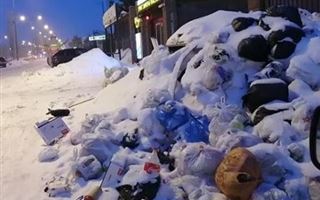 Астанчане продолжают жаловаться на горы мусора в столице