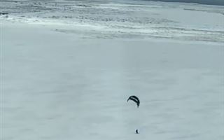 Астанчанин прокатился на сноуборде с парашютом