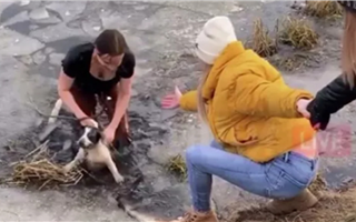 Россиянка прыгнула в ледяную воду за собакой