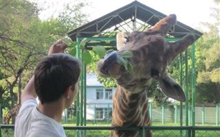 В Казахстане численность обитателей зоопарков сократилась на 5 процентов