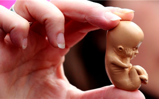 О проблеме абортов среди несовершеннолетних в Казахстане рассказал министр