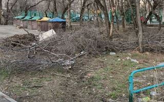 "С такой антисанитарией не только коронавирус появится": казахстанцы жалуются на мусор и грязь во дворах