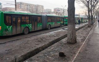 В Алматы протянут новую линию BRT