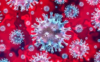 В КНР озвучили приблизительное время окончания эпидемии коронавируса