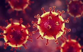 Болит живот? Это повод для беспокойства: ученые определили еще один симптом коронавируса