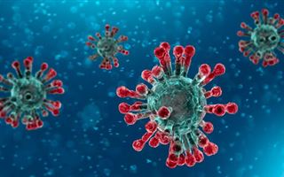 «Захватчик или освободитель?». Эпидемия коронавируса может спасти до 3,5 миллионов людей - эксперт