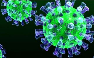 В США коронавирусом болеет более 82 тысяч людей