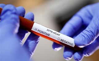В Сети набирает популярность онлайн-тест на коронавирус