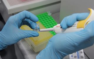 Вакцина от коронавируса может появиться в Казахстане через год
