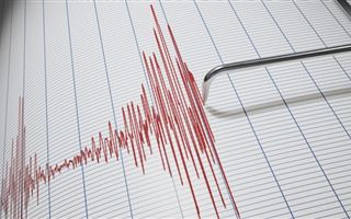 Землетрясение магнитудой 3,8 произошло в 198 км от Алматы