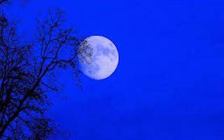Cамую большую Луну 2020 года увидят земляне ближайшей ночью