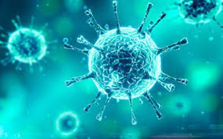 В США за сутки от коронавируса скончались почти 2 тысячи человек