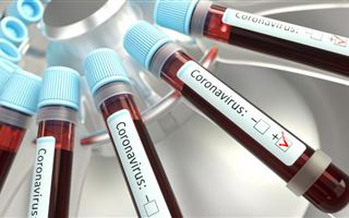 Коронавирус: ғалымдар вирустың жаппай тарайтын уақытына болжам жасады