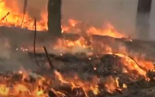 В чернобыльской зоне с помощью самолетов и вертолетов тушат масштабный пожар