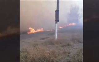 В СКО лесной пожар перекинулся на села