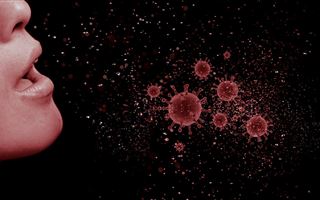Австралийские ученые назвали причины легких симптомов коронавируса