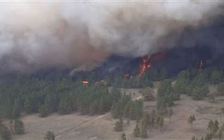 В ВКО для тушения лесного пожара направили третий вертолет