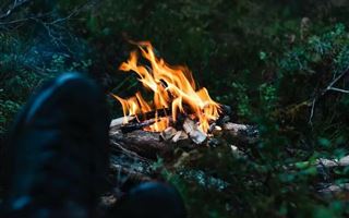 В ВКО причиной лесного пожара стал человеческий фактор